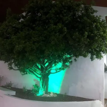 Helena En Garden Con Piscina Climatizada شقة *