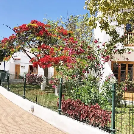 Apartment Helena En Garden Con Piscina Climatizada