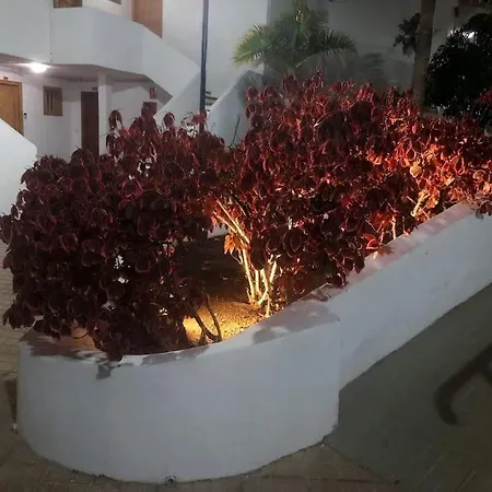 Helena En Garden Con Piscina Climatizada Appartement Playa Feñabe
